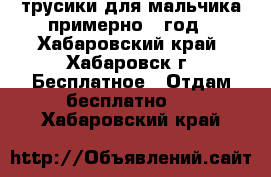 трусики для мальчика примерно 1 год - Хабаровский край, Хабаровск г. Бесплатное » Отдам бесплатно   . Хабаровский край